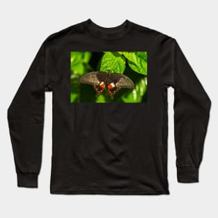 Butterfly on a Leaf Long Sleeve T-Shirt